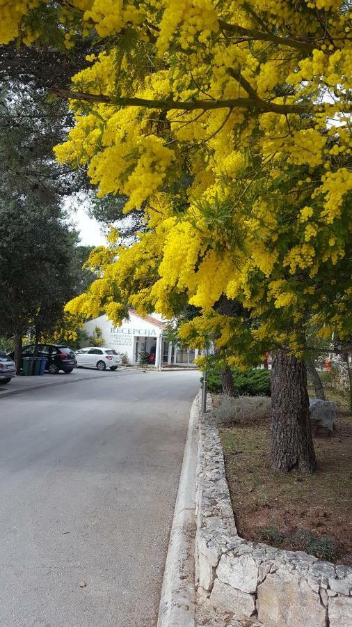 Glamping Beach Soline Biograd Na Moru Exterior foto
